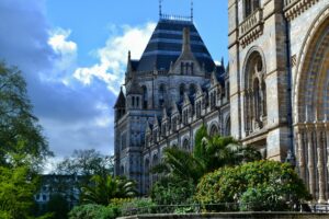 Natural History Museum.